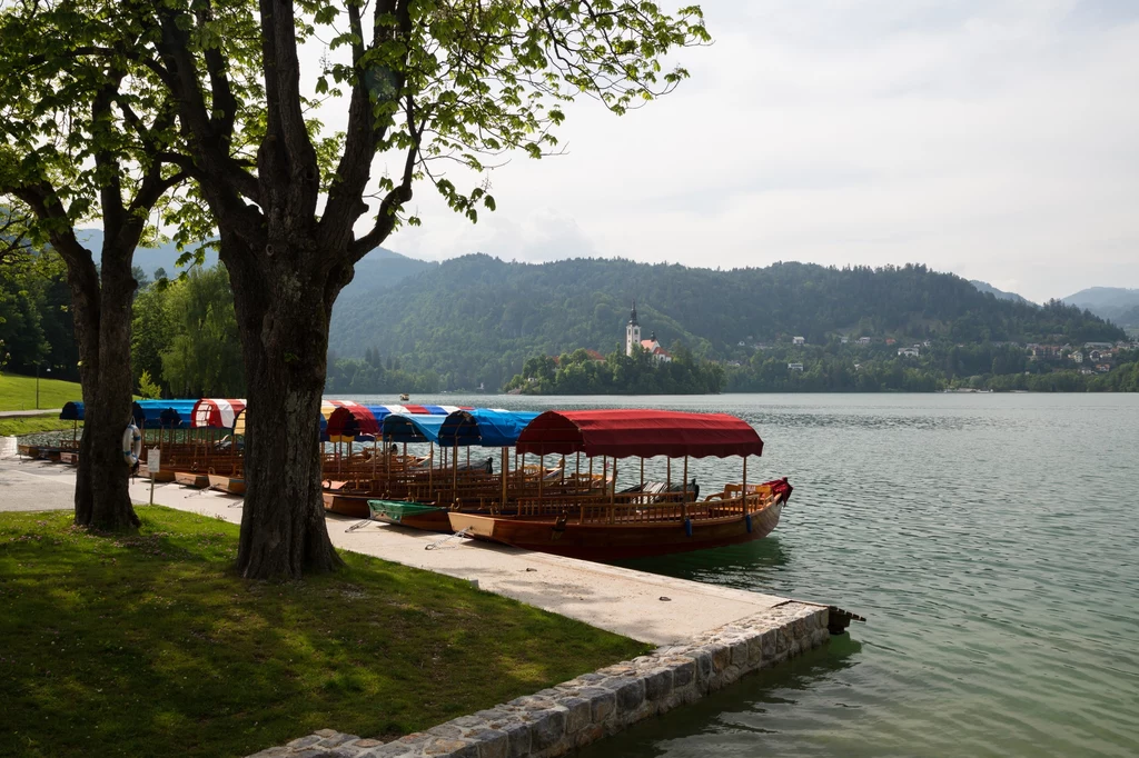 Na wyspę na jeziorze Bled można się dostać łodzią zwaną "Pletna"