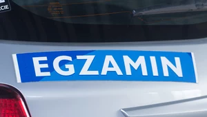 Na jakich samochodach zdaje się egzamin na prawo jazdy w WORD w Polsce?