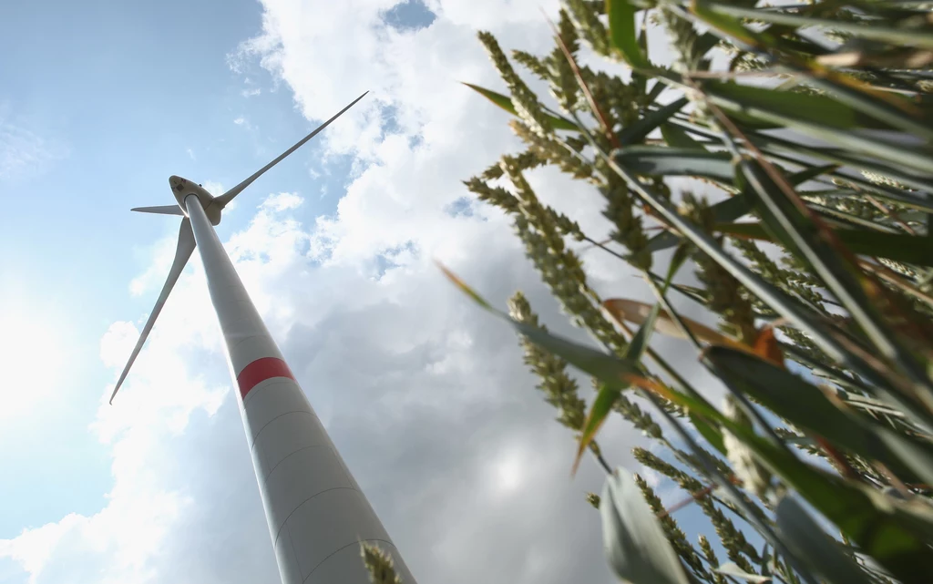 Ułatwienie budowy nowych turbin wiatrowych w Polsce jest coraz bliżej. To krok w dobrym kierunku, ale spóźniony - podkreśla ekspertka Greenpeace Polska