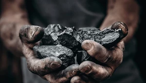 Cena węgla będzie regulowana przez rząd. Ile zapłacimy za tonę?