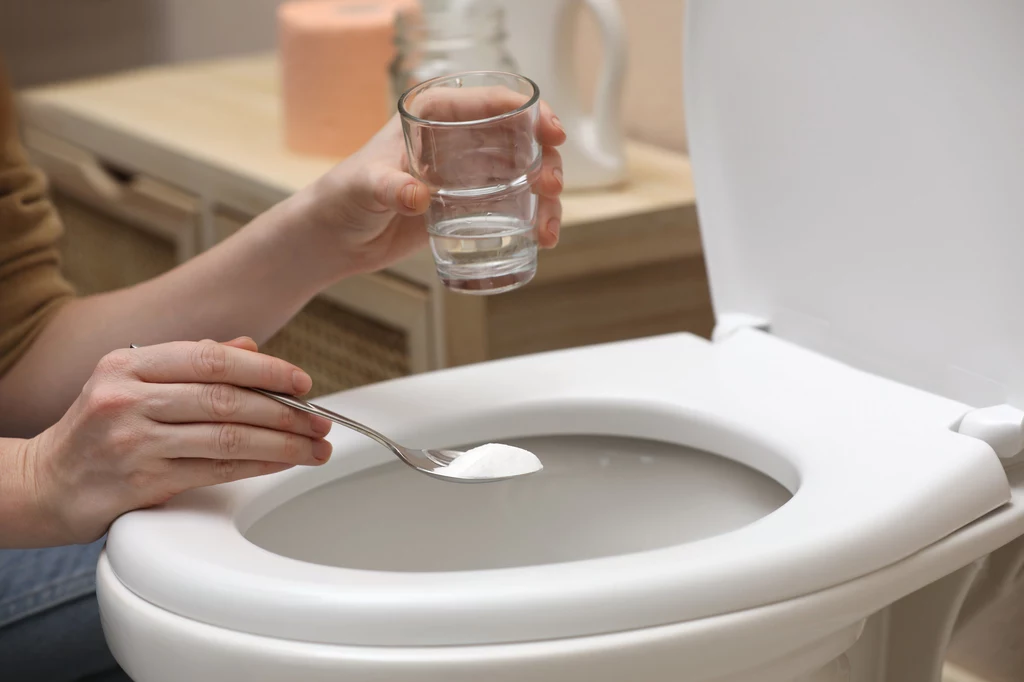 Do dokładnego umycia toalety potrzebujesz najprostszych składników