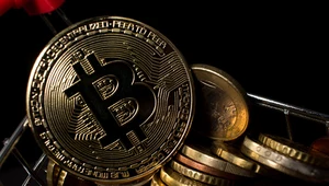 Jakie są przyczyny krachu na rynku kryptowalut? Zdj. ilustracyjne
