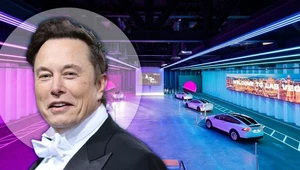 Elon Musk marzy o sieci tuneli pod USA / zdjęcie: The Boring Company