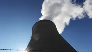 Europosłowie nie chcą, aby atom i gaz były uznawane za zieloną energię