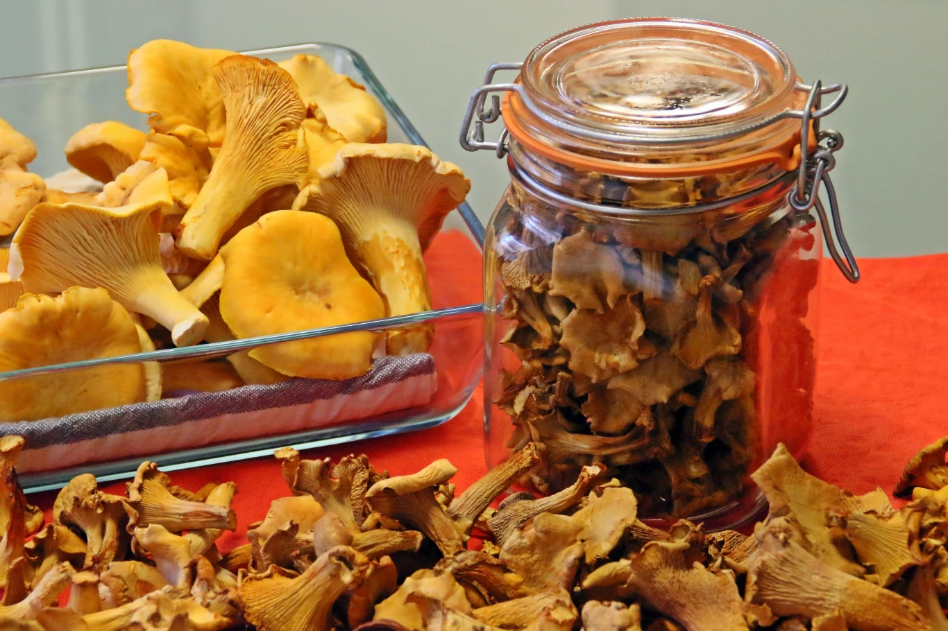 Suszone grzyby należy trzymać w szczelnym pojemniku