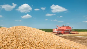 50 lub 60 tys. zł ma wynieść maksymalna wsparcie dla rolników, którzy zakupią silosy do magazynowania zboża i roślin oleistych oraz ich wyposażenie - przewiduje opublikowany w środę projekt rozporządzenia Ministra Rolnictwa i Rozwoju Wsi.