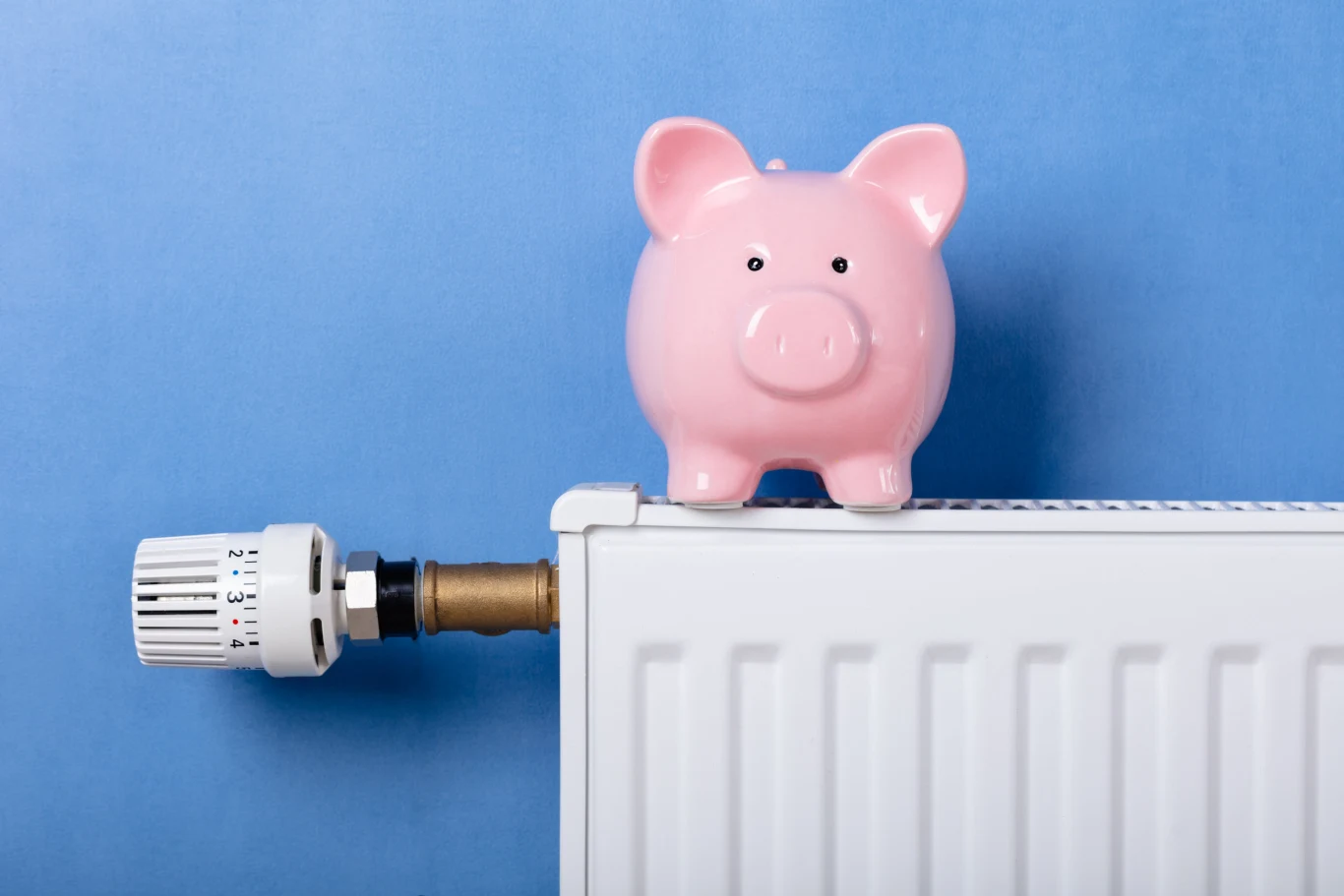 Oszczędzanie energii powoli staje się smutną koniecznością. Lepiej już teraz nauczyć się oszczędzać, aby zimą nie narazić się na szok Oszczędzanie energii powoli staje się smutną koniecznością. Lepiej już teraz nauczyć się oszczędzać, aby zimą nie narazić się na szok