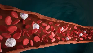 Jeśli liczba białych krwinek drastycznie wzrośnie - znak to, ze w organizmie toczy się choroba