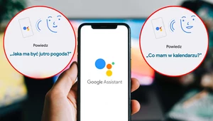 Asystent Google potrafi odpowiedzieć na wiele pytań. Potrafi też irytować. Jak wyłączyć asystenta Google w telefonie? 