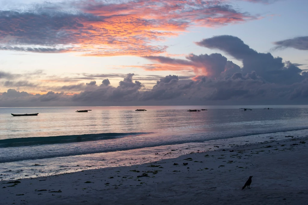 Urlopowiczom na Zanzibarze przypadnie do gustu plażowanie w otoczeniu wód o niezwykłym kolorze, a w pamięci z pewnością pozostaną piękne zachody słońca