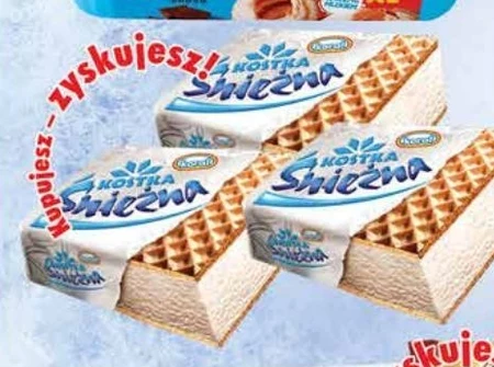 Kostka lodowa Koral
