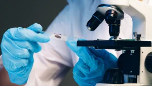 Polscy młodzi naukowcy są wspierani przez programy grantowe i stypendialne. Zdj. ilustracyjne