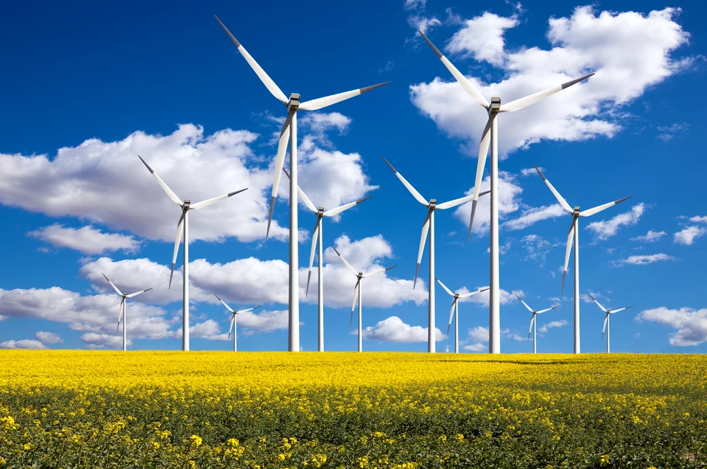 Odnawialne źródła energii rozwijają się szybciej, niż oczekiwali analitycy
