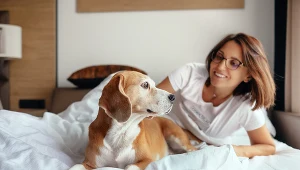 Rośnie baza miejsc noclegowych godzących się na przyjazd z psem czy kotem. Według Bookingu, jest ich w Polsce ponad 49 tysięcy