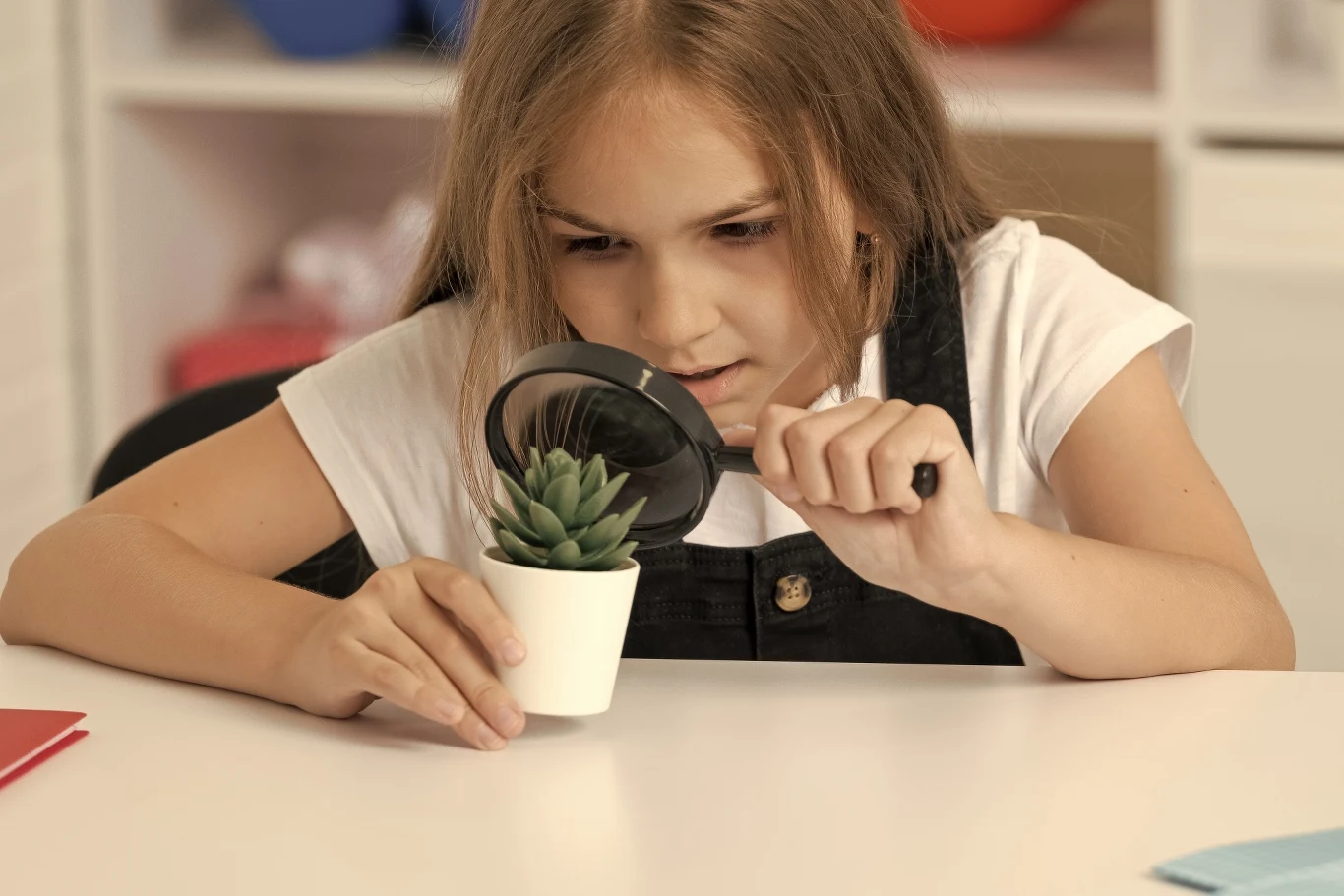 Jaka to roślina? Jaki to kwiat? Aplikacje do rozpoznawania roślin pomogą opowiedzieć na te pytania Jaka to roślina? Jaki to kwiat? Aplikacje do rozpoznawania roślin pomogą opowiedzieć na te pytania