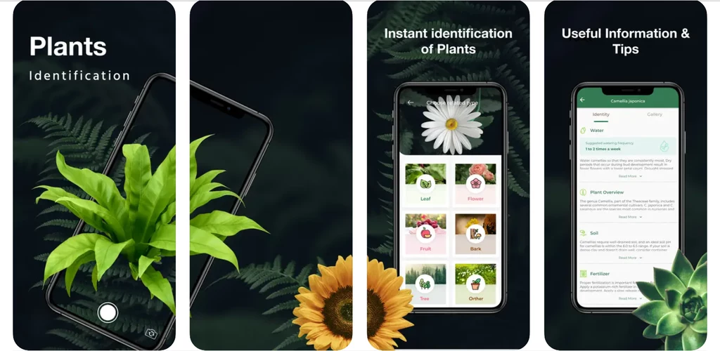 LeafSnap - Plant Identification/ App Store 