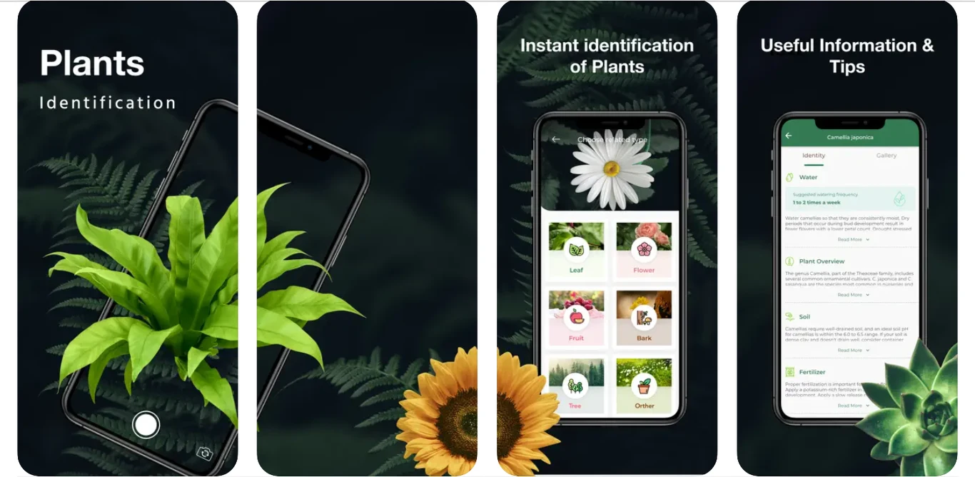 LeafSnap - Plant Identification/ App Store LeafSnap - Plant Identification/ App Store