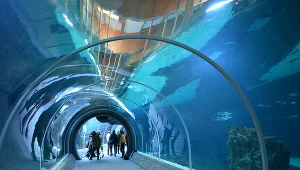 Orientarium w Łodzi 