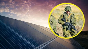Wojska rosyjskie rozkradają największą elektrownię słoneczną w Ukrainie
