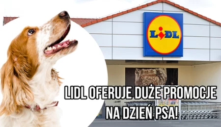 Dzień Psa.