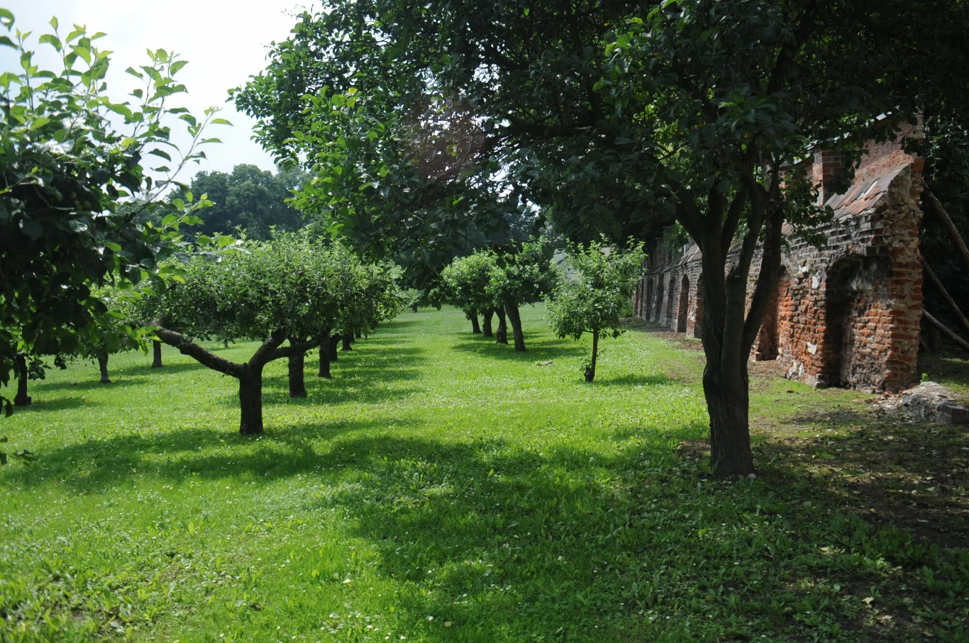 Ogrody klasztorne w Krakowie zajmują spory teren w centrum miasta Ogrody klasztorne w Krakowie zajmują spory teren w centrum miasta