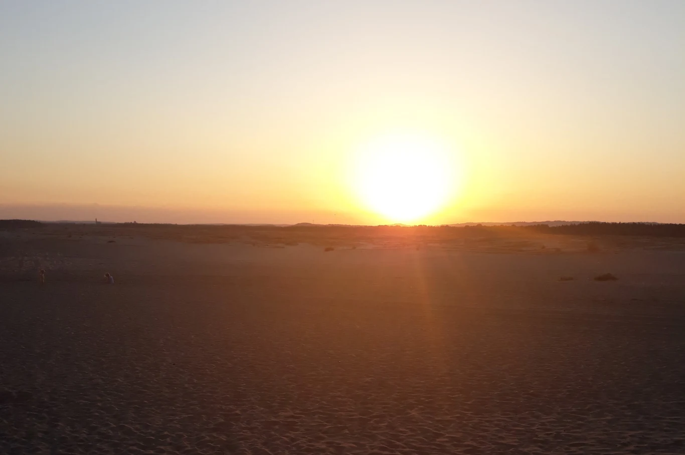 Zachód Słońca na Pustyni Błędowskiej Zachód Słońca na Pustyni Błędowskiej