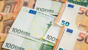 Pogłębiająca się różnica w stopach procentowych w Polsce i strefie euro kusi przedsiębiorców coraz bardziej, aby zostawić drożejący kredyt w złotych i wziąć tańszy w euro