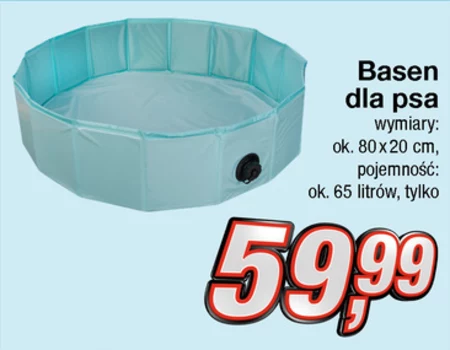 Basen dla psów