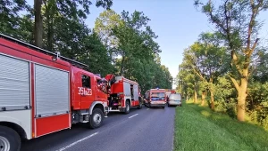 W Skierniewicach samochód dostawczy potrącił dwie rowerzystki
