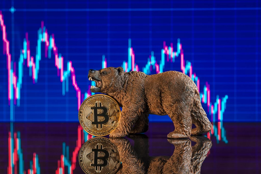 Bitcoin w trakcie swojej trzynastoletniej historii przeszedł już kilka cykli boomów i spadków