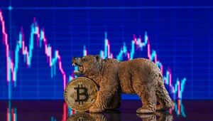Bitcoin w trakcie swojej trzynastoletniej historii przeszedł już kilka cykli boomów i spadków