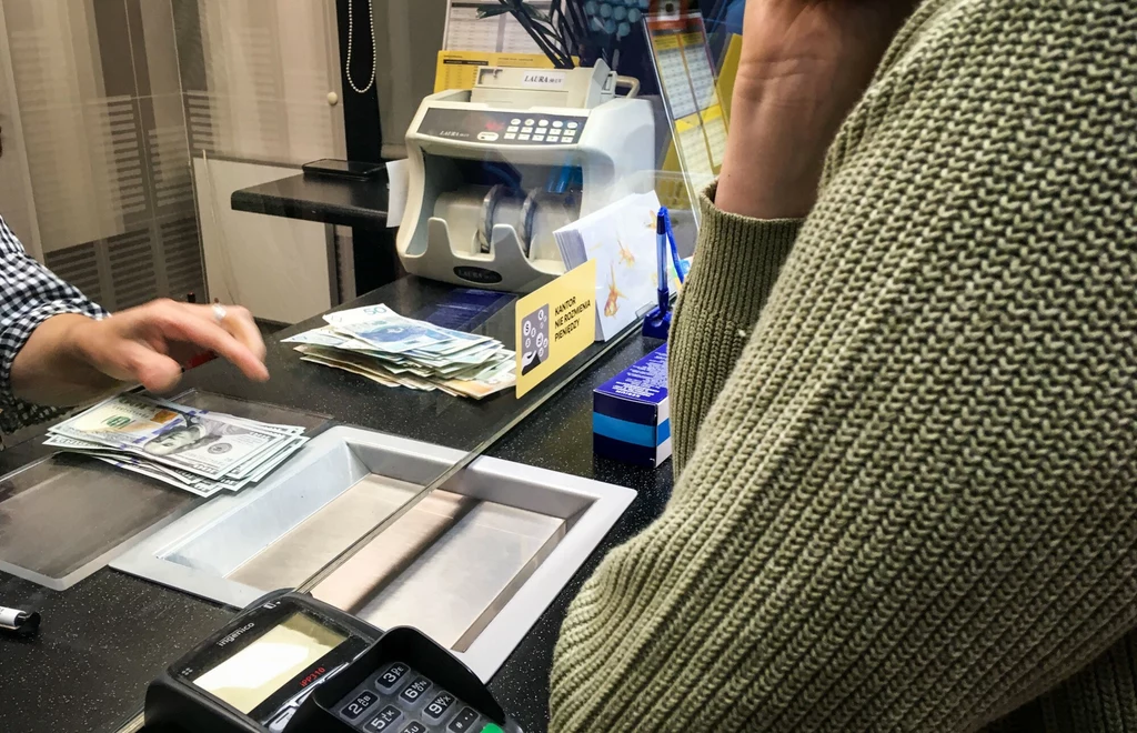Kursy walut. Dolar ma lepsze perspektywy niż euro.  Złotego wzmocnią pieniądze przekazane Polsce przez UE w ramach KPO 