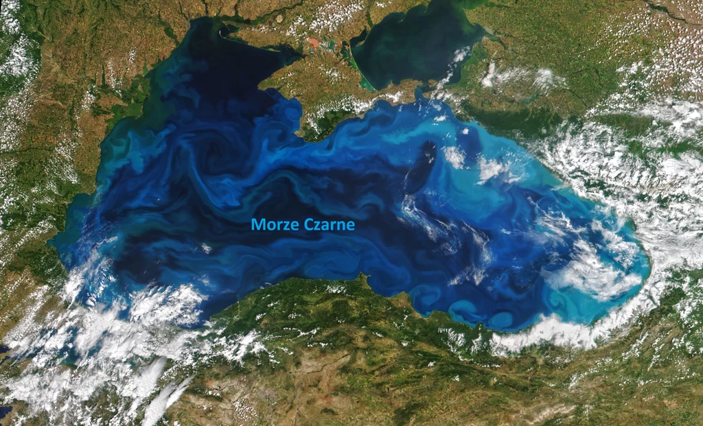 Rozwój fitoplanktonu na Morzu Czarnym