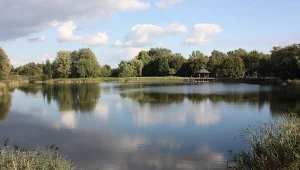  Wikipedia Park Kultury i Wypoczynku Mazowsze w Pruszkowie