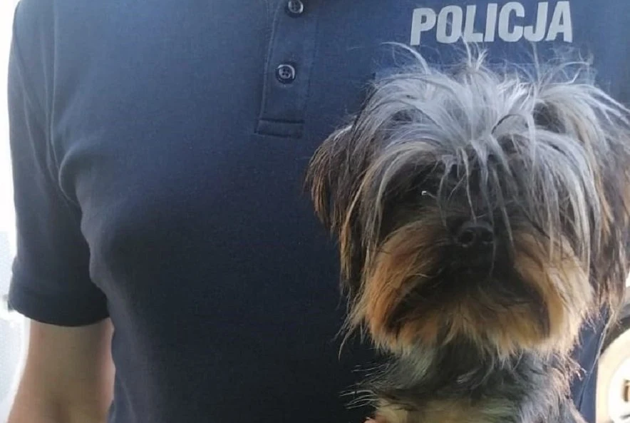 Policjantom udało się uratować psa Policjantom udało się uratować psa