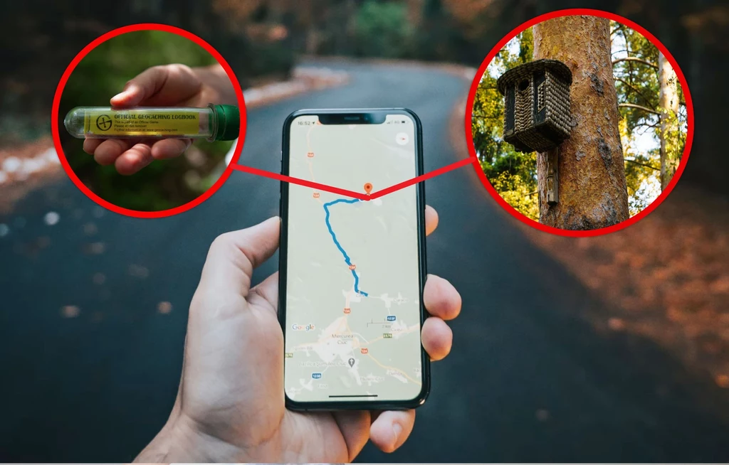 Geocaching ma wielu fanów na świecie. Na czym polega ta gra terenowa?