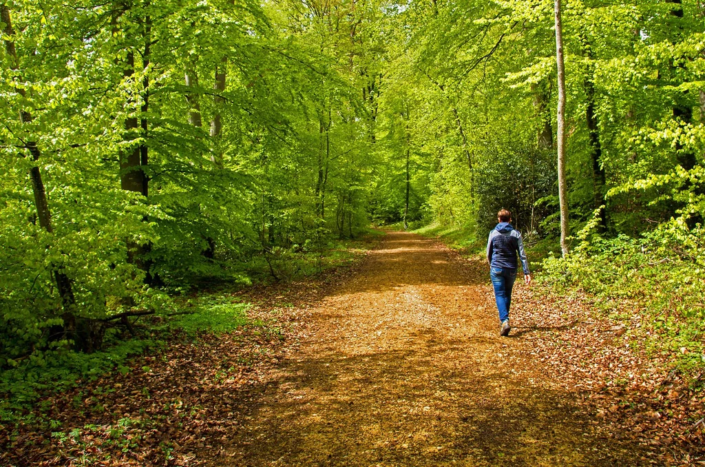 Kąpiele leśne pozytywnie wpływają na nasze zdrowie fizyczne i psychiczne