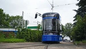 Mężczyzna miał rzucać się pod tramwaje
