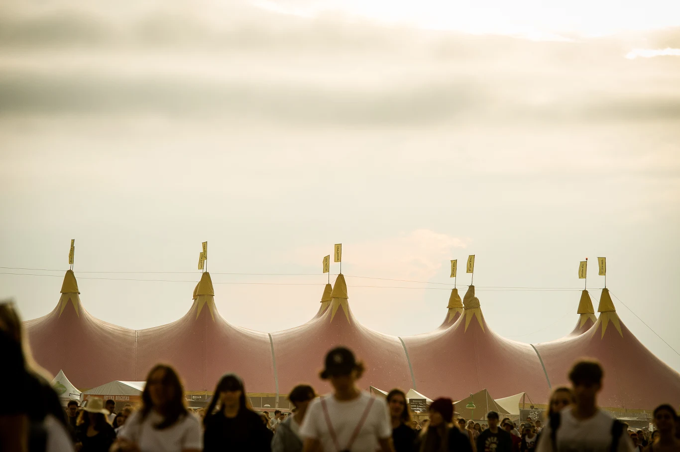 Publiczność na Open'er Festival 2022