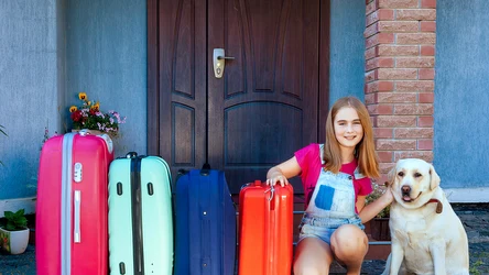 Co zrobić z psem na czas wyjazdu?