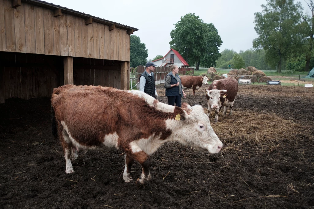 Na Podlasiu jak zawsze praca wre