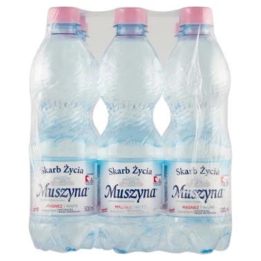 Muszyna Skarb Życia Naturalna woda mineralna wysokozmineralizowana niegazowana 9 x 500 ml - 0