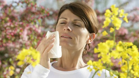 Co pyli w czerwcu? Na te rośliny muszą uważać alergicy