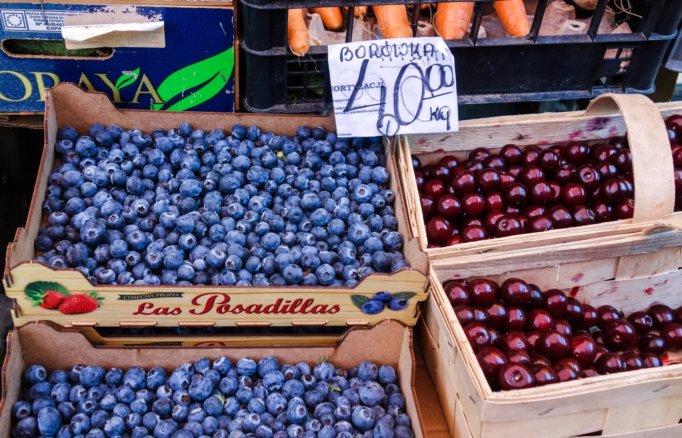 Ceny borówki amerykańskiej nie jednego przerażają, będzie jednak taniej
