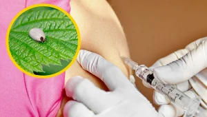 Nie ma leków, które zwalczyłyby wirus kleszczowego zapalenia mózgu. Przeciwko kleszczowemu zapaleniu mózgu można się jednak zaszczepić