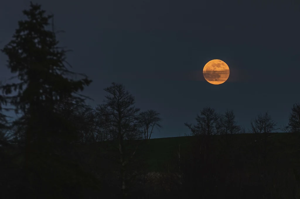 Pełnię Księżyca w październiku najlepiej podziwiać w miejscu oddalonym od zanieczyszczeń i sztucznych źródeł światła