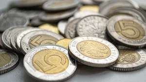 Analitycy podkreślają, że złoty pozostaje pod presją