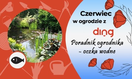 Poradnik ogrodnika ministawy