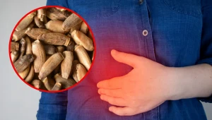 Ostropest korzystnie wpływa na hepatocyty oraz chroni wątrobę przed szkodliwym działaniem toksyn