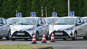 Samochody zostają na parkingach, egzaminy się nie odbywają